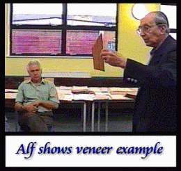 Alf with veneer example