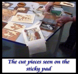 Pieces on sticky pad p saw