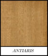 Antiaris