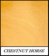 Chestnut horse - Aesculus Hippocastanum