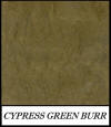 Cypress green burr - Liriodendron Tulipefera