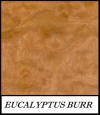 Eucalyptus burr - Eucalyptus Regnans