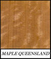 Maple Queensland - Flindersia Brayleyana