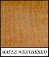 Maple Weathered - Acer Saccharum
