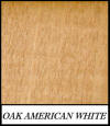 Oak American White - Quercus Alba