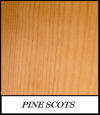 Pine Scots - Pinus Spp