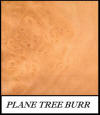 Plane tree burr - Platanus Acerifolium