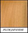 Plum Japanese - Prunus Japonica