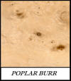 Poplar burr - Populus Spp