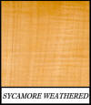 Sycamore weathered - Acer Pseudoplatanus