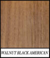 Walnut Black American - Juglans Nigra